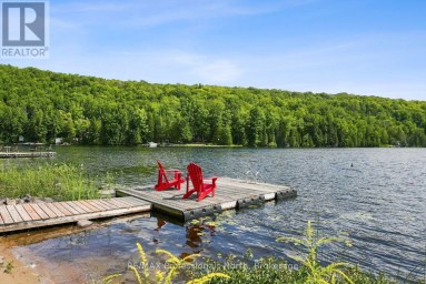 1009 SPENCERS TRAIL Highlands East (Glamorgan) Ontario photo 30