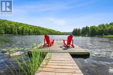 1009 SPENCERS TRAIL Highlands East (Glamorgan) Ontario photo 31