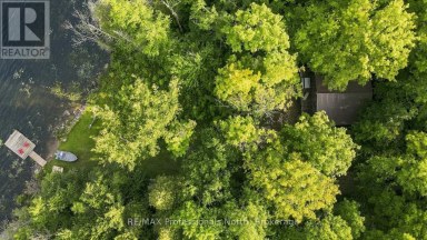 1009 SPENCERS TRAIL Highlands East (Glamorgan) Ontario photo 35
