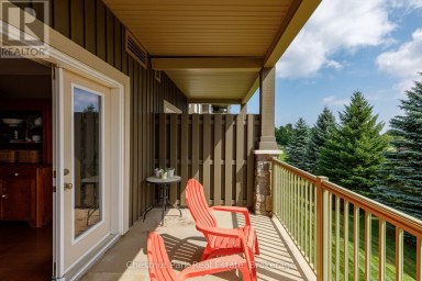 208 - 27 BEAVER STREET Blue Mountains Ontario photo 29
