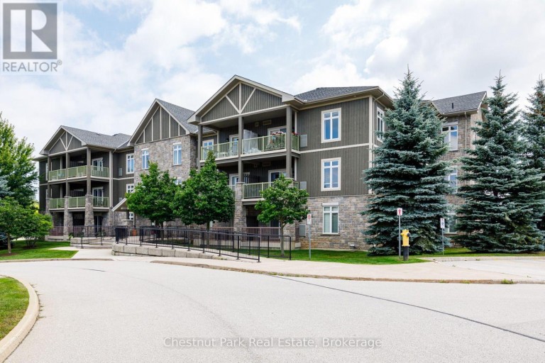 208 - 27 BEAVER STREET, Blue Mountains, Ontario, N0H2P0