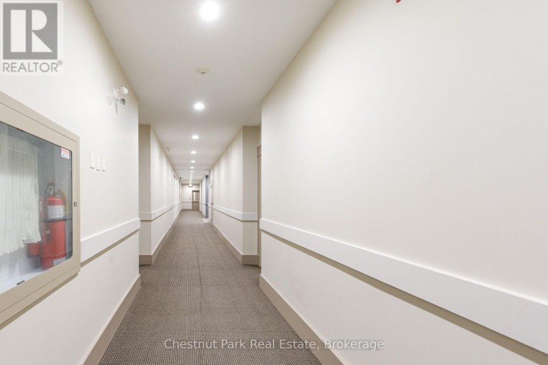 208 - 27 BEAVER STREET, Blue Mountains, Ontario, N0H2P0