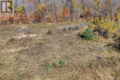 14794 HIGHWAY 62 HIGHWAY Madoc Ontario photo 13