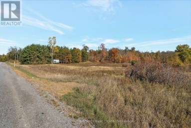14794 HIGHWAY 62 HIGHWAY Madoc Ontario photo 17