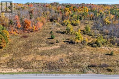 14794 HIGHWAY 62 HIGHWAY Madoc Ontario photo 2