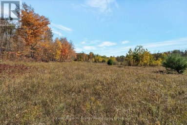 14794 HIGHWAY 62 HIGHWAY Madoc Ontario photo 23