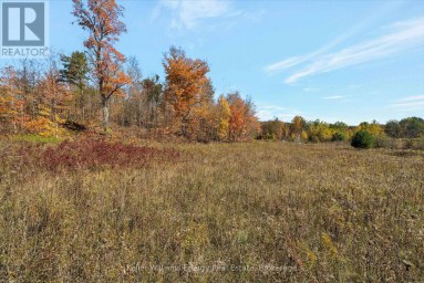 14794 HIGHWAY 62 HIGHWAY Madoc Ontario photo 24
