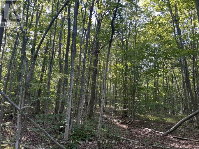 PT LT 9 CON 14 EBR PT 27 CONCESSION, Northern Bruce Peninsula, Ontario, N0H1W0