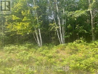 1571 SCHUTT ROAD, Brudenell, Lyndoch and Raglan, Ontario