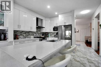 161 Saddleland Crescent NE Calgary Alberta photo 15