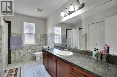 161 Saddleland Crescent NE Calgary Alberta photo 34