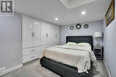 161 Saddleland Crescent NE Calgary Alberta photo 37