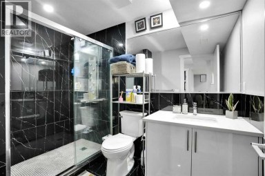 161 Saddleland Crescent NE Calgary Alberta photo 40