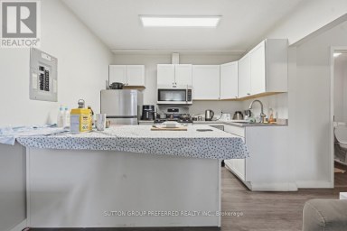 2 RUSKIN COURT London North (North J) Ontario photo 32
