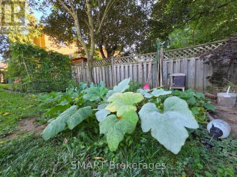 482 RUTH AVENUE Toronto (Newtonbrook East) Ontario photo 32