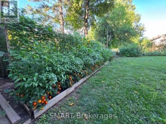 482 RUTH AVENUE Toronto (Newtonbrook East) Ontario photo 35