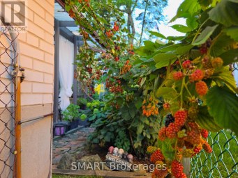 482 RUTH AVENUE Toronto (Newtonbrook East) Ontario photo 46