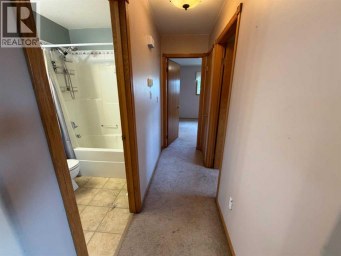 24 Pleasant Park Court W Brooks Alberta photo 19