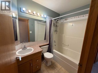 24 Pleasant Park Court W Brooks Alberta photo 22