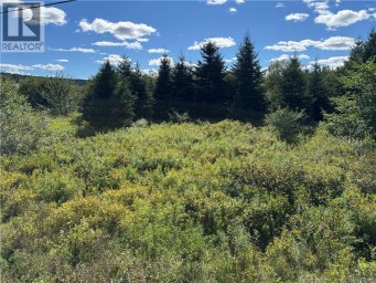 LOT Route 111 Hammondvale New Brunswick photo 1