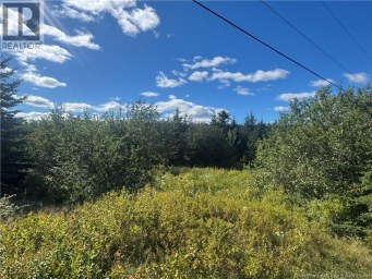 LOT Route 111 Hammondvale New Brunswick photo 2