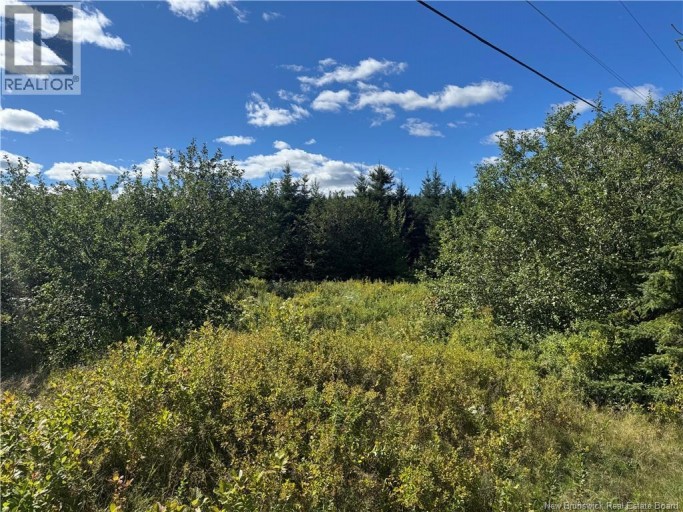 LOT Route 111, Hammondvale, New Brunswick, E4E3T3