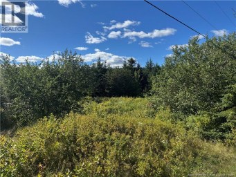 LOT Route 111 Hammondvale New Brunswick photo 3