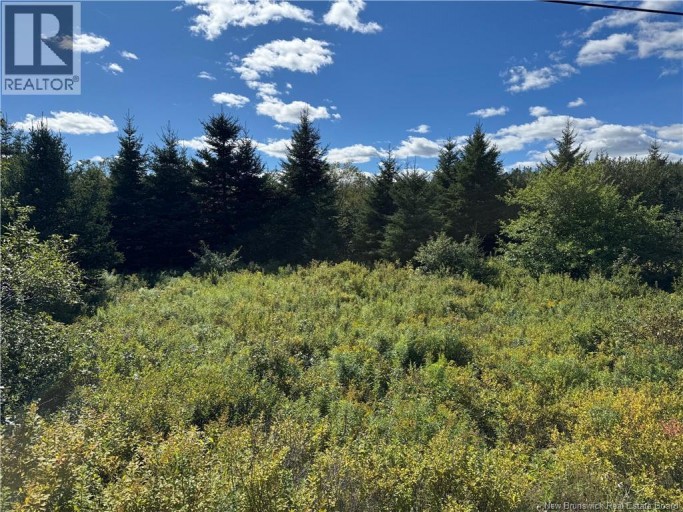 LOT Route 111, Hammondvale, New Brunswick, E4E3T3