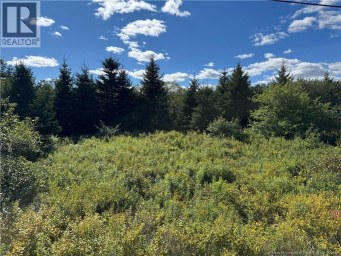 LOT Route 111 Hammondvale New Brunswick photo 4