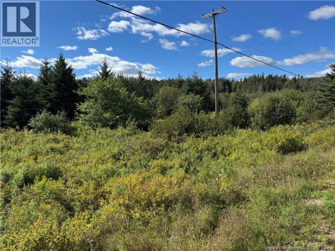 LOT Route 111, Hammondvale, New Brunswick, E4E3T3