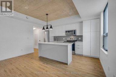606 - 7 ERIE AVENUE Brantford Ontario photo 10