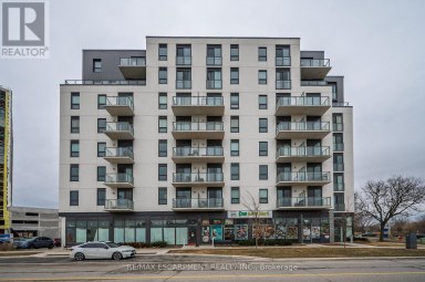 606 - 7 ERIE AVENUE Brantford Ontario photo 2