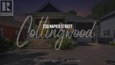 230 NAPIER STREET Collingwood Ontario photo 33