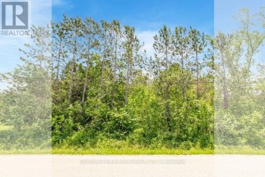 37 TODD LANE Tay (Victoria Harbour) Ontario photo 16
