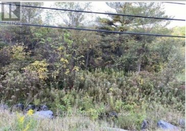 PT LT 5 CON 5 HIGHWAY 62 ROAD Madoc Ontario photo 8