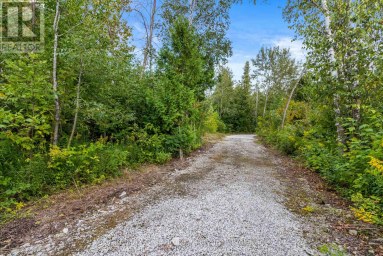 172 GREENOUGH POINT ROAD Northern Bruce Peninsula Ontario photo 10