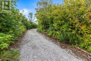 172 GREENOUGH POINT ROAD Northern Bruce Peninsula Ontario photo 11