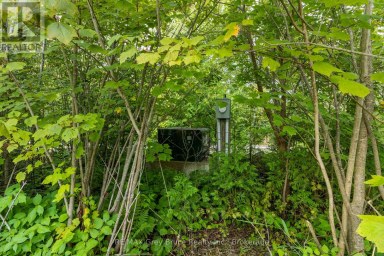 172 GREENOUGH POINT ROAD Northern Bruce Peninsula Ontario photo 12