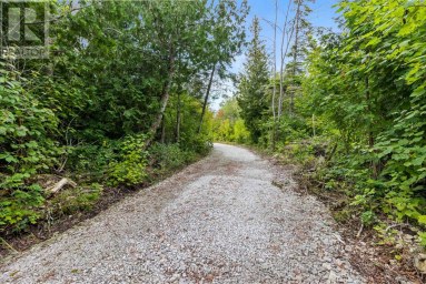 172 GREENOUGH POINT ROAD Northern Bruce Peninsula Ontario photo 14