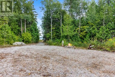 172 GREENOUGH POINT ROAD Northern Bruce Peninsula Ontario photo 19