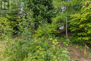 172 GREENOUGH POINT ROAD Northern Bruce Peninsula Ontario photo 21