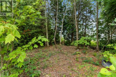 172 GREENOUGH POINT ROAD Northern Bruce Peninsula Ontario photo 22