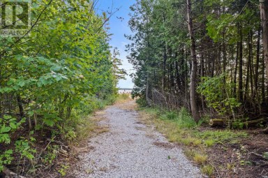 172 GREENOUGH POINT ROAD Northern Bruce Peninsula Ontario photo 23