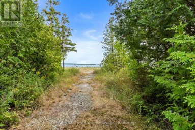 172 GREENOUGH POINT ROAD Northern Bruce Peninsula Ontario photo 24