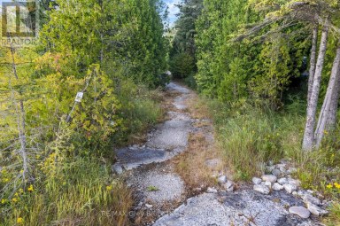 172 GREENOUGH POINT ROAD Northern Bruce Peninsula Ontario photo 25