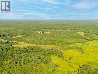 LOT Route 102 Route Gagetown New Brunswick photo 7
