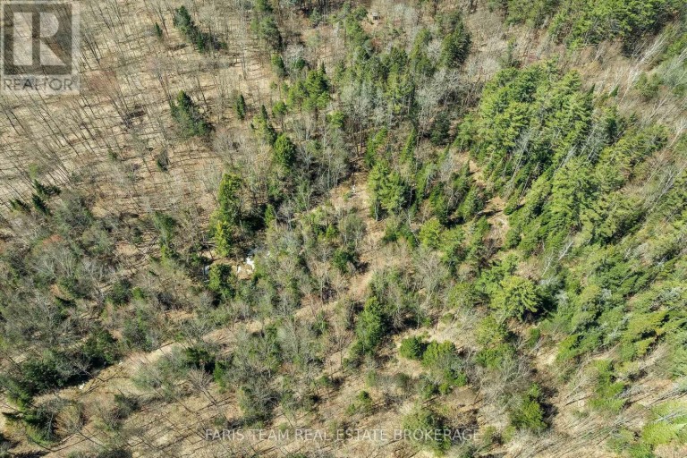 2180-2186 HWY. 141, Muskoka Lakes (Watt), Ontario, P0B1L0