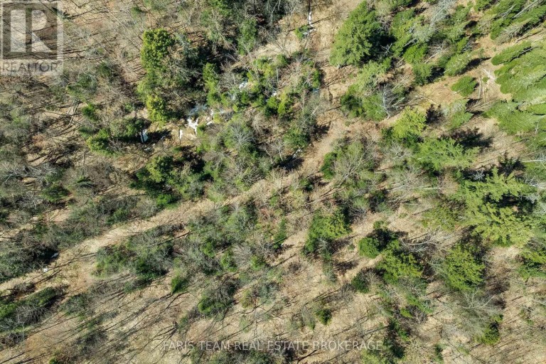 2180-2186 HWY. 141, Muskoka Lakes (Watt), Ontario, P0B1L0