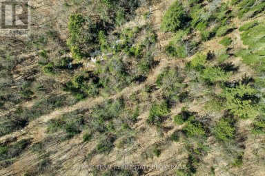 2180-2186 HWY. 141 Muskoka Lakes (Watt) Ontario photo 19