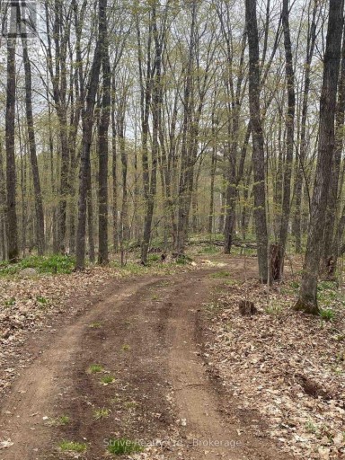 0 KENDRICK CREEK LANE, Minden Hills (Minden), Ontario, K0M2K0